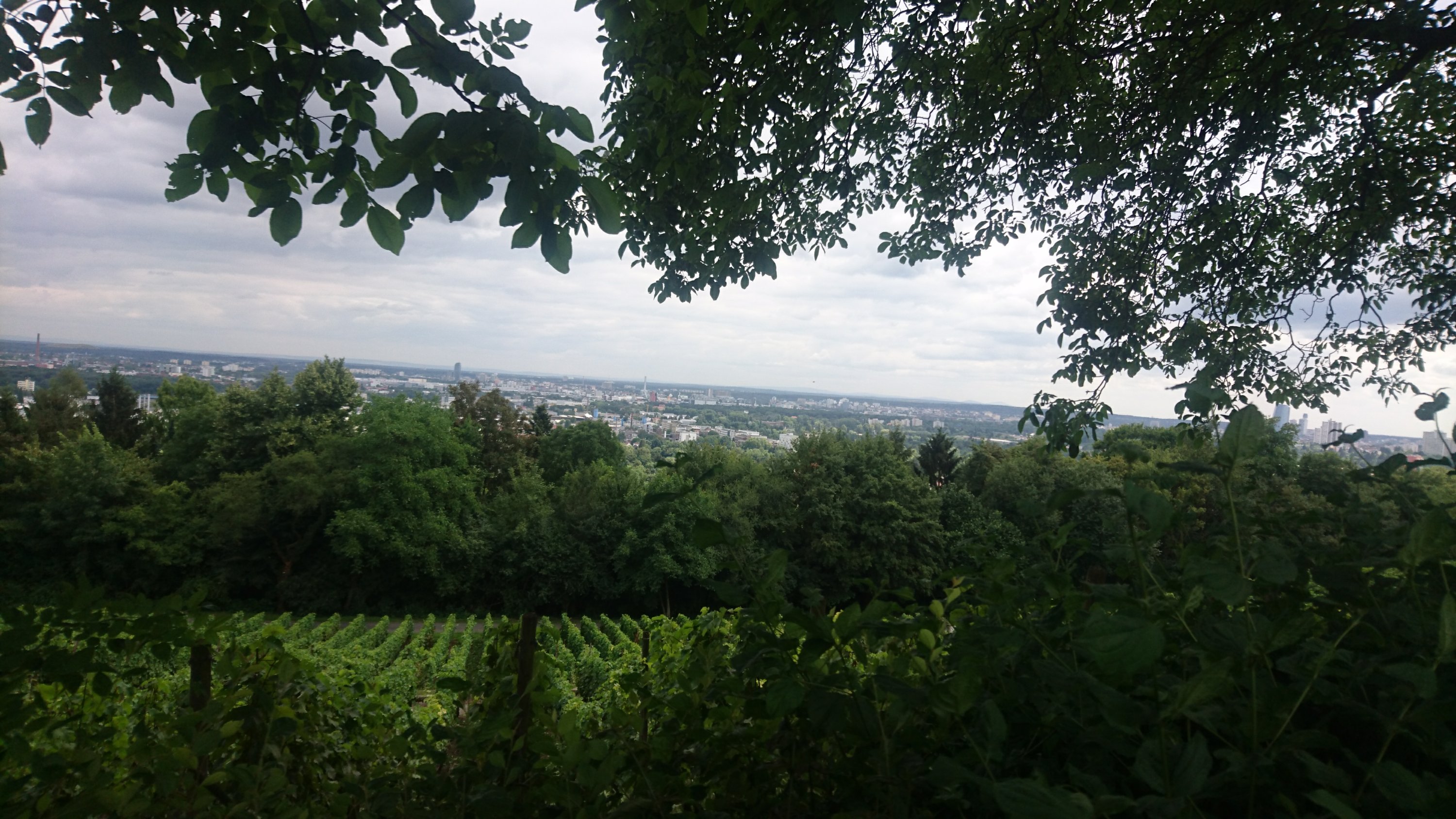 view into Frankfurt