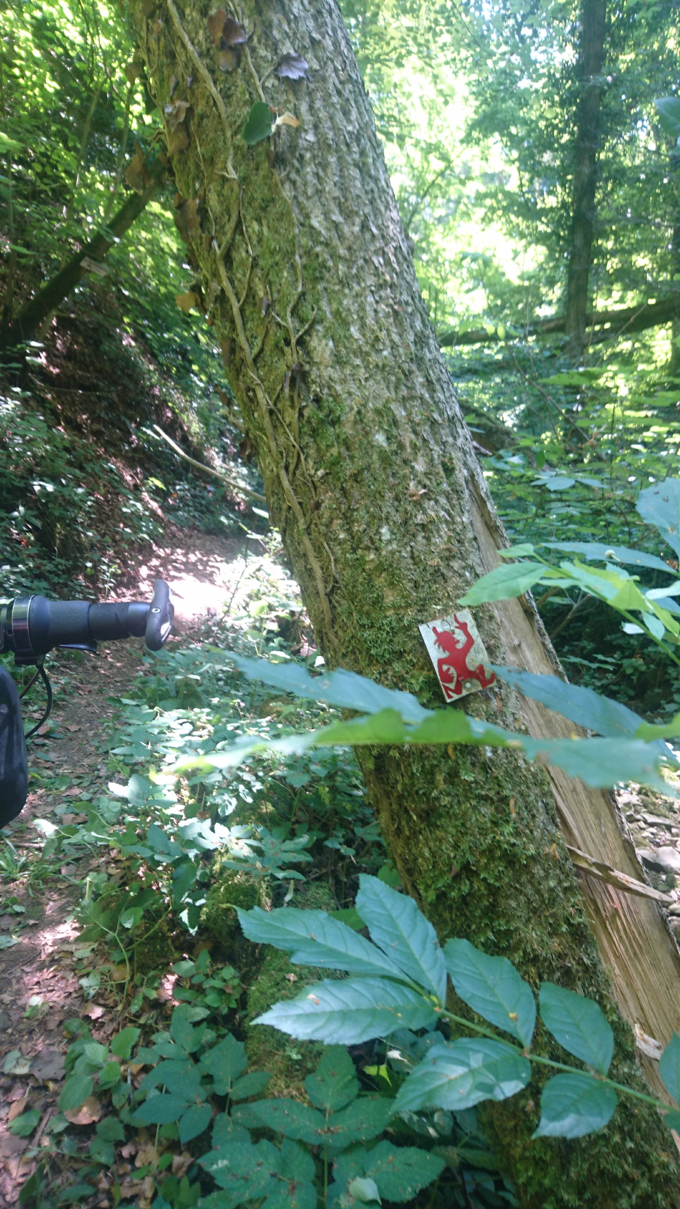 Sign on tree of Devil marking the trail